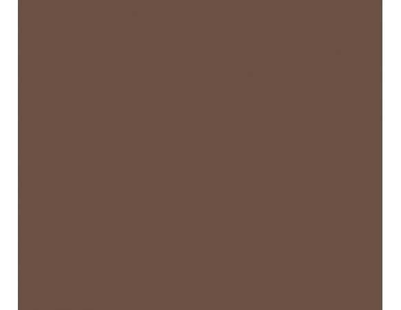 Xαρτόνι Canson Colorline 50x70 220gr (33 Nut)