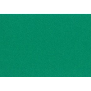 Xαρτόνι Canson Colorline 50x70 220gr (30 Moss Green)