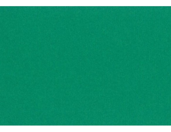 Xαρτόνι Canson Colorline 50x70 220gr (30 Moss Green)