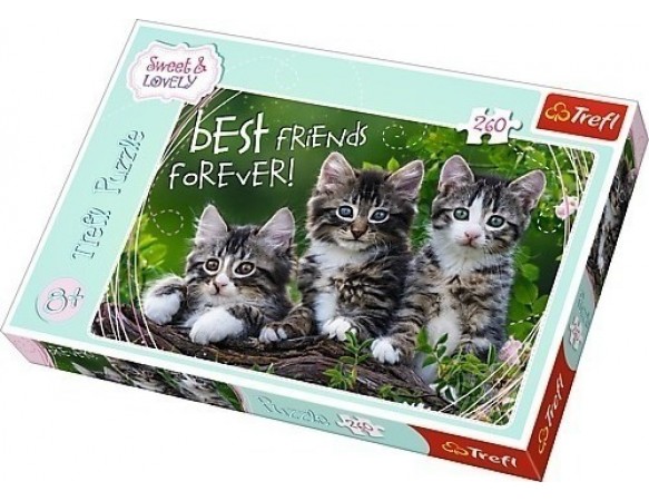 Παζλ Trefl:Cat Friendship 260pcs 13215